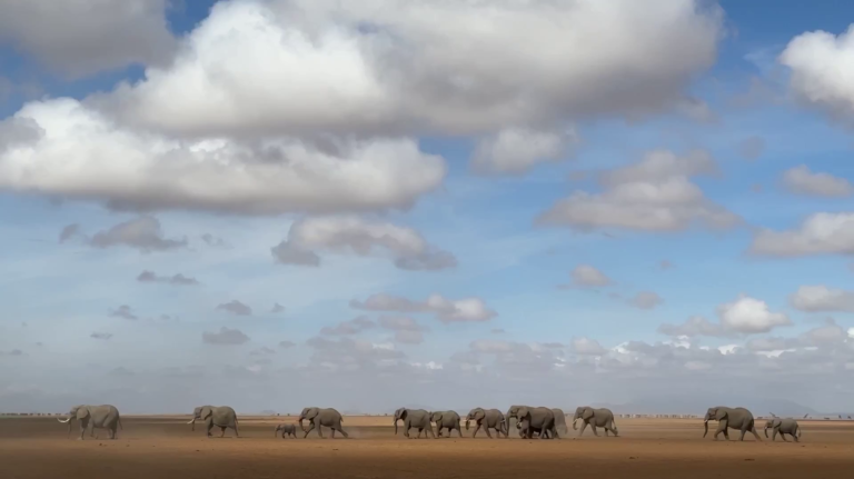 2023 Kenya The Dry Lake Bed